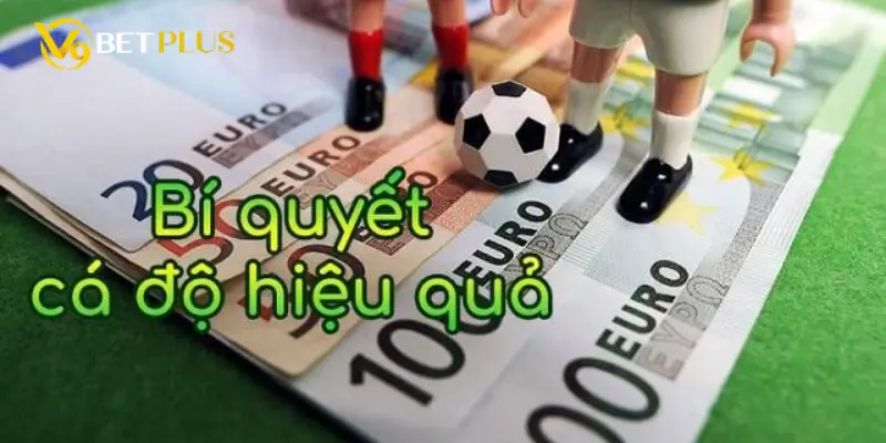 Kinh nghiệm chơi cá cược thể thao tại V9bet luôn thắng