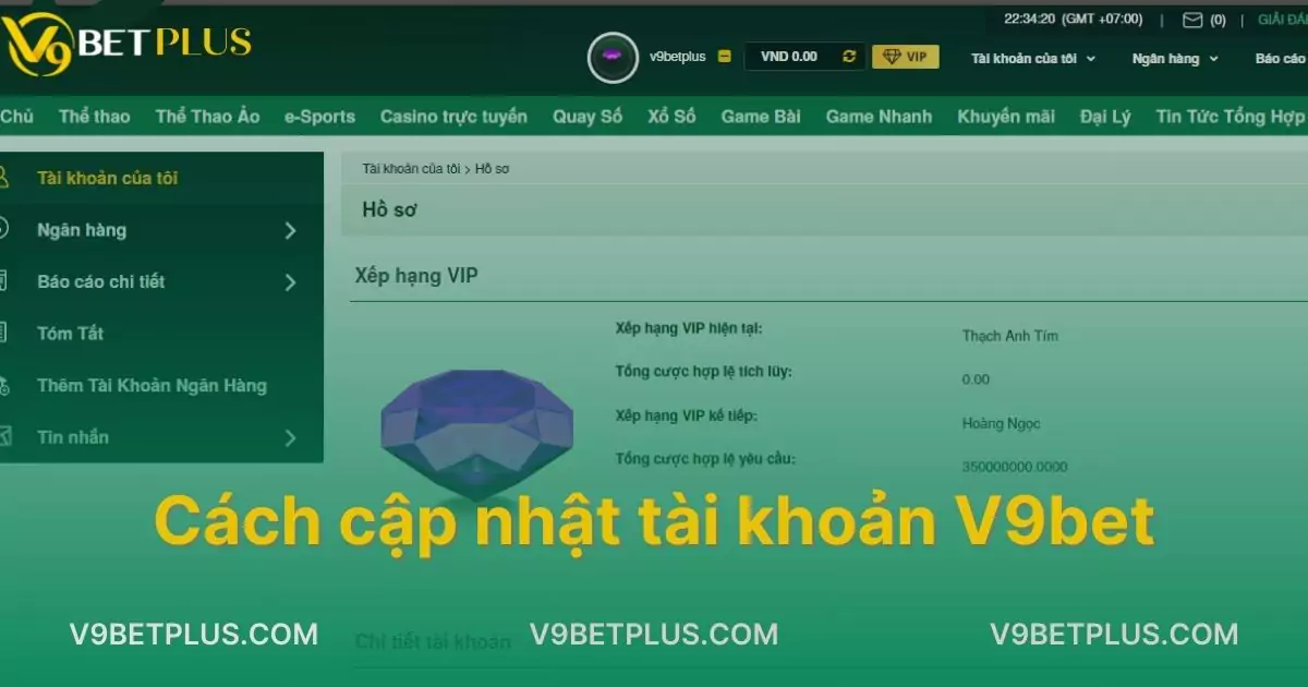 Hướng Dẫn Cách Cập Nhật Tài Khoản V9bet Sau Khi Đăng Ký 