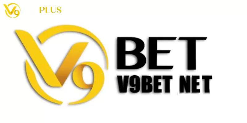 Đôi nét về domain.net của V9bet